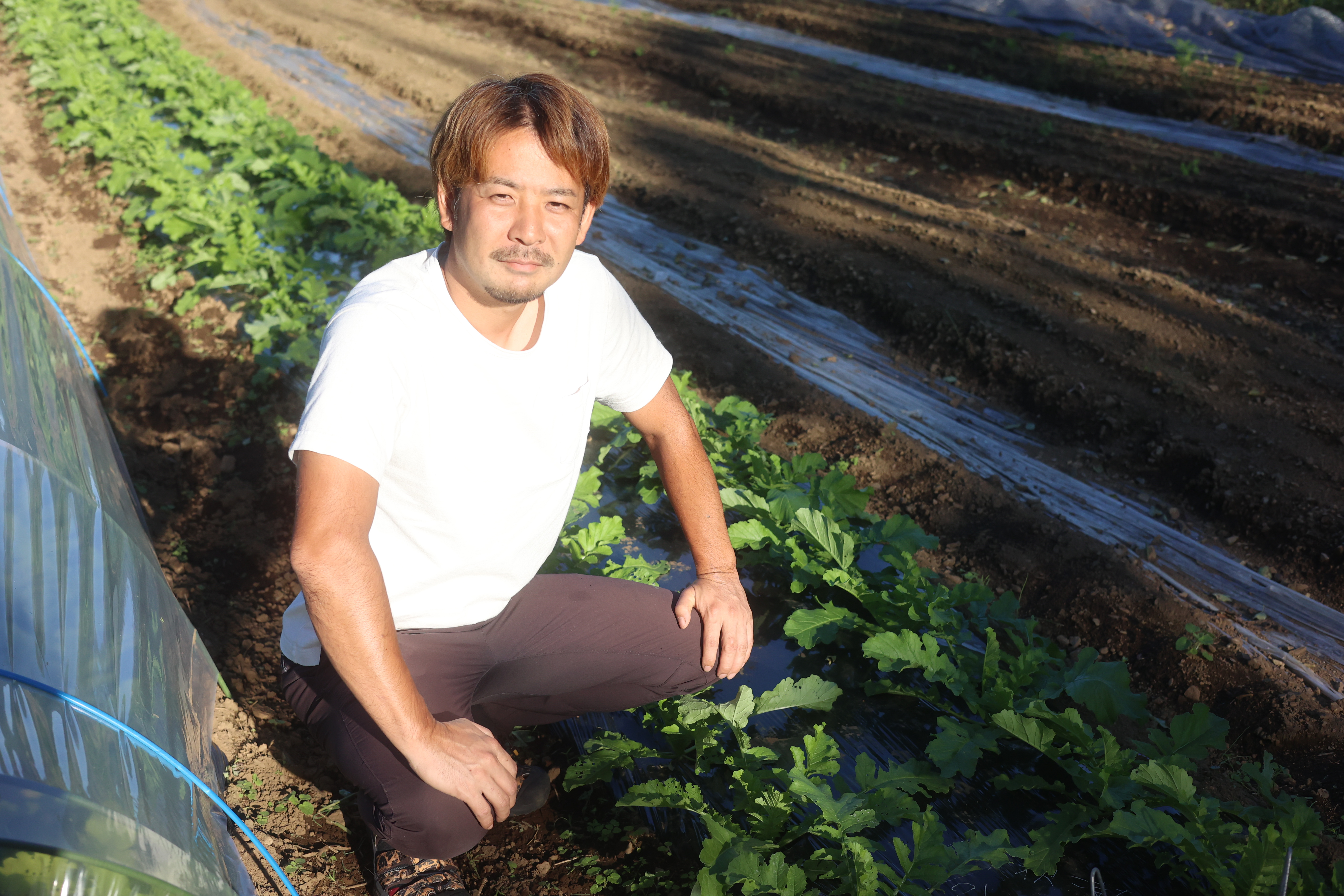 生産者 平 貴夫